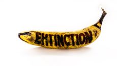 A banana with the word "Extinction" written on it with a a rotted texture