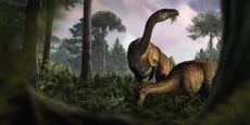 Artistic reconstruction of herbivorous, fern-eating sauropodomorph dinosaurs in the Early Jurassic ecosystem of Soltykow.