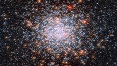 A Hubble telescope image showing many bright white stars surrounded by larger orange stars on a canvas of black space